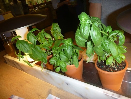 vapiano-2
