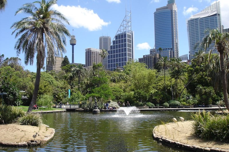 Photo courtesy of http://www.sydney.com/