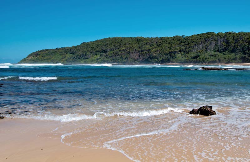 Photo courtesy of https://www.nationalparks.nsw.gov.au/