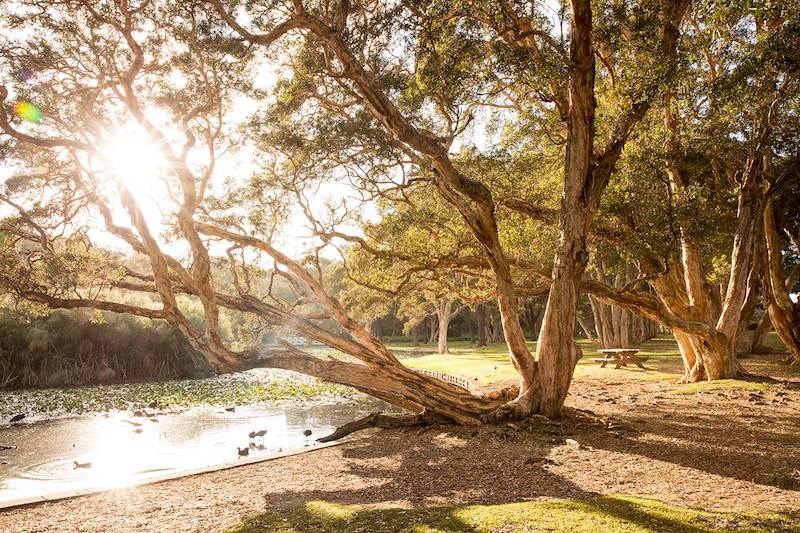 Sydney's best picnic spots centennial parklands