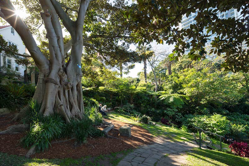 Photo courtesy of https://www.wendyssecretgarden.org.au/