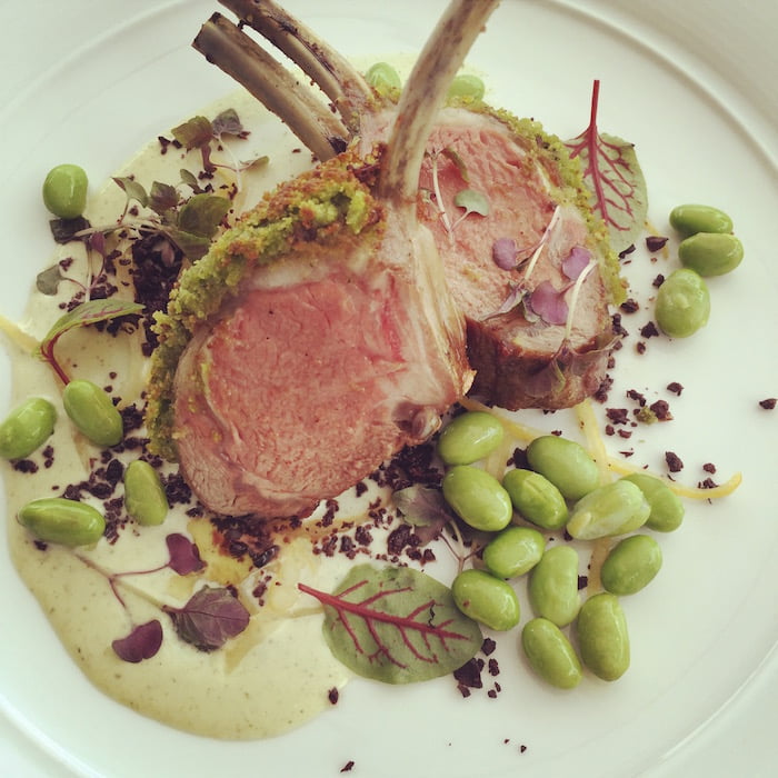 Catalina-Rose-Bay-Lamb-Chop