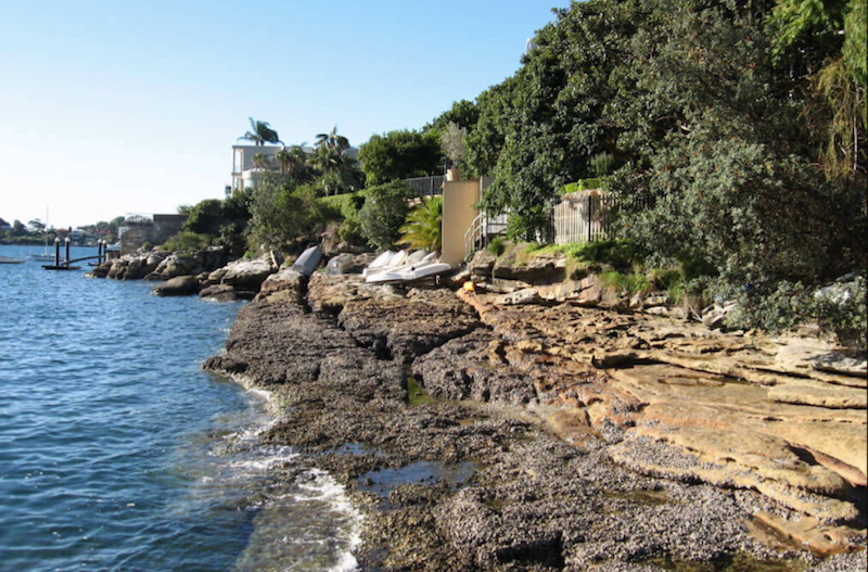 Parsley bay Swimming Sydney