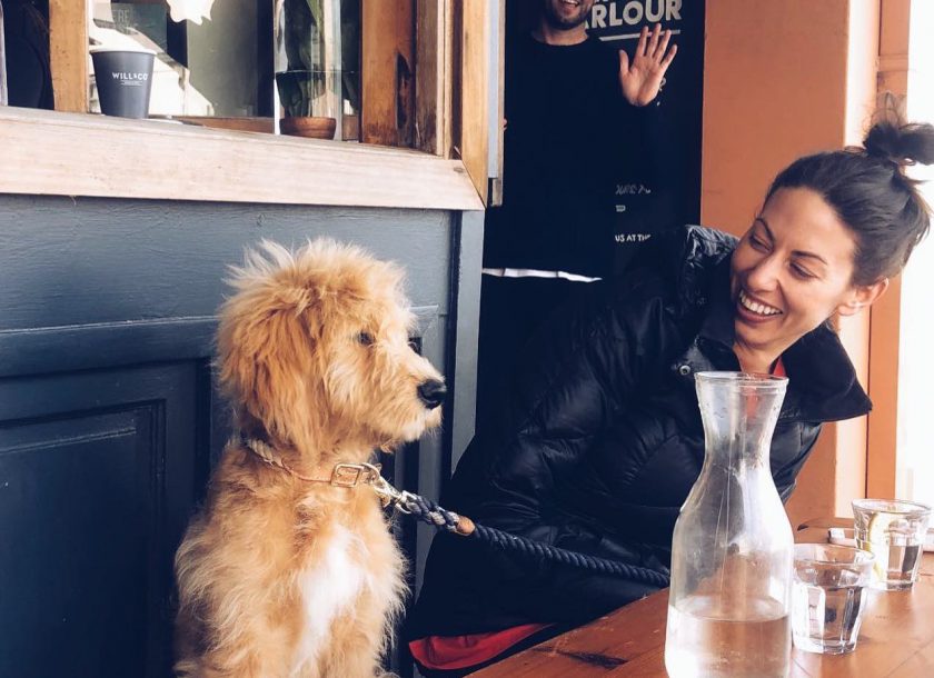 Porch and Parlour Dog Friendly Cafe Sydney