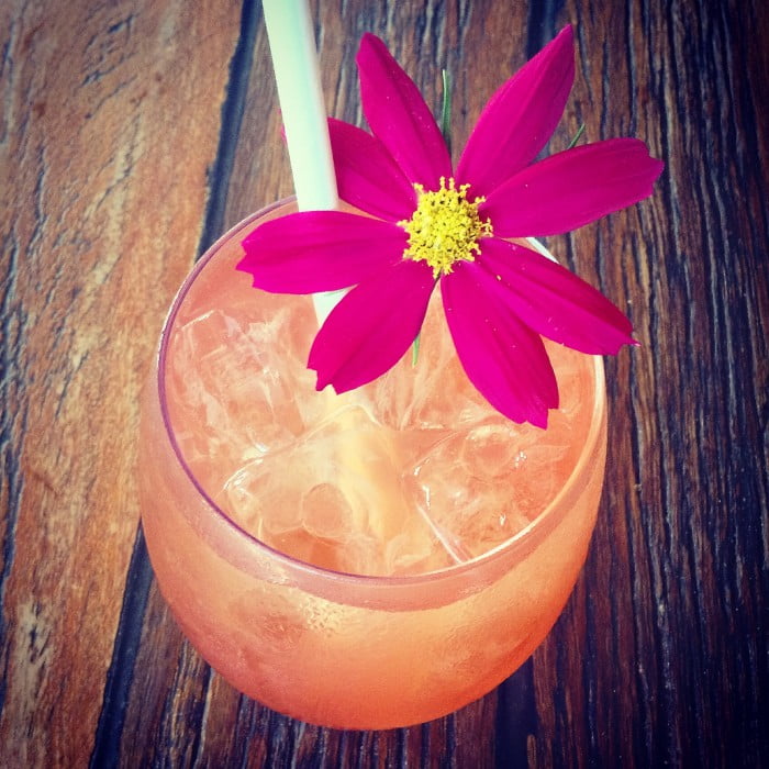 Roadhouse_Kombucha cocktail