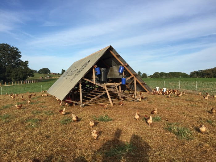 The Farm_Chicken Coup