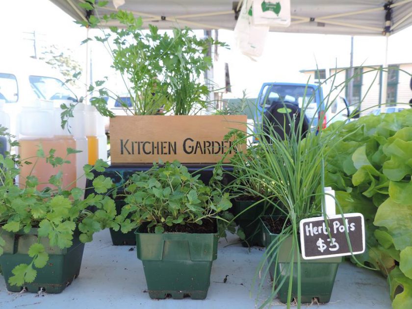 Farmers Markets Port Macquarie