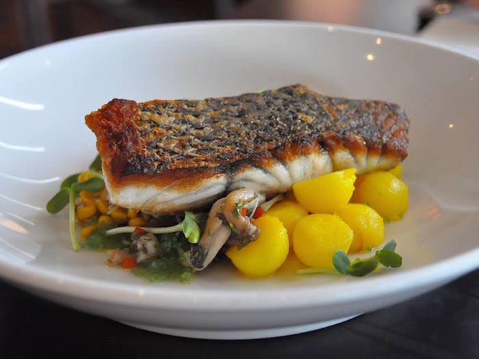 fusion seven restaurant port macquarie