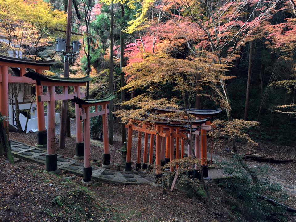fushimi inari