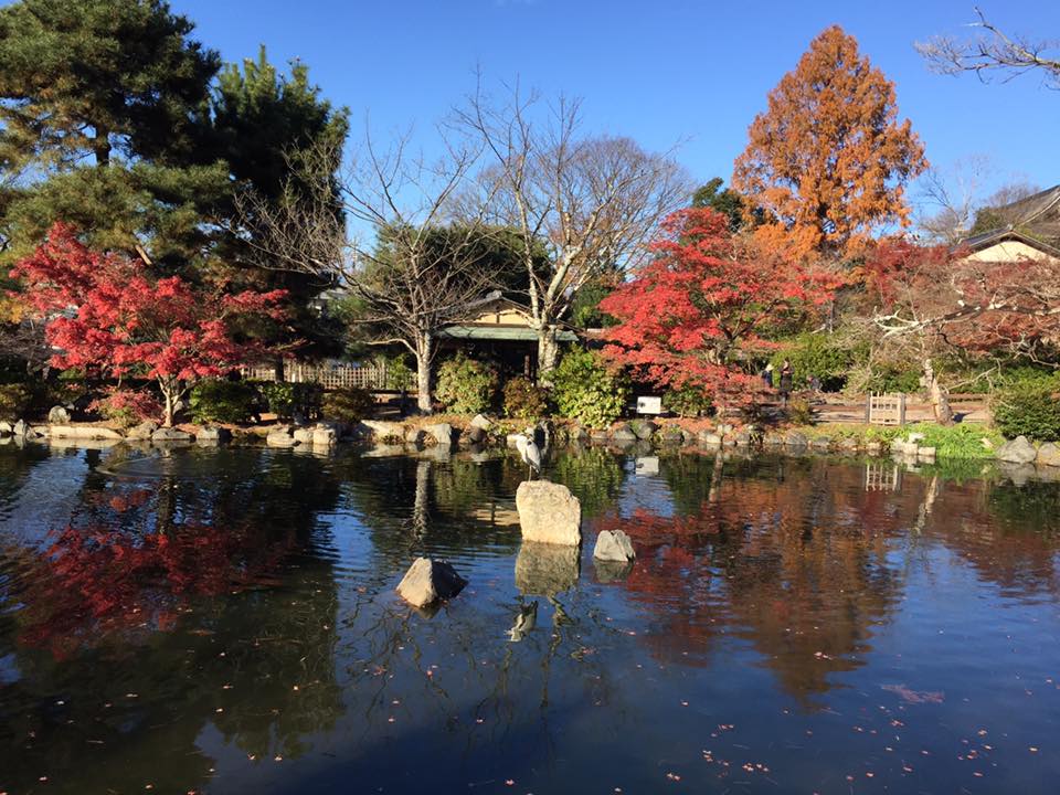 yasaka shrine