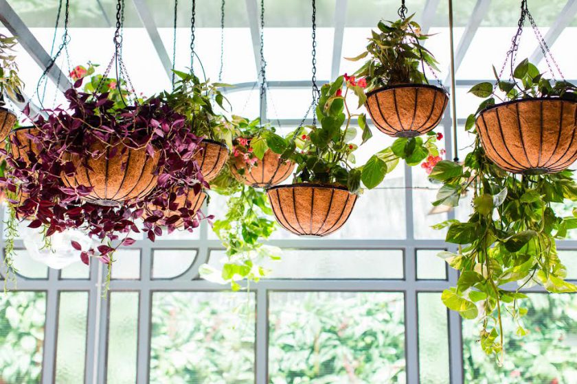 flower child cafe