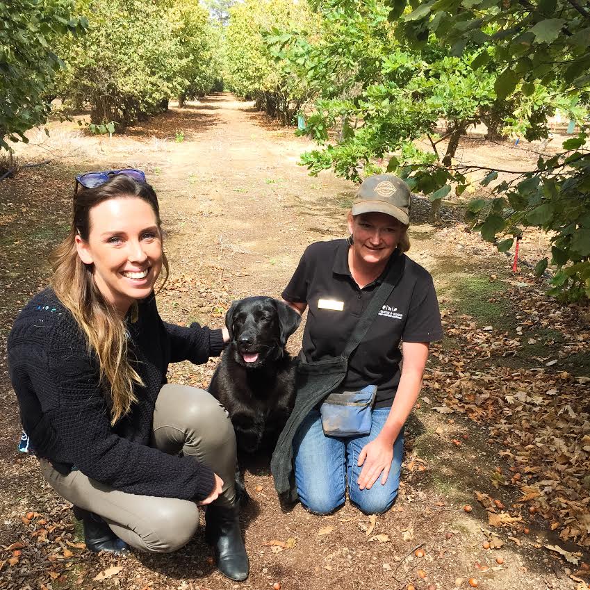 Truffle & Wine Co. Margaret River