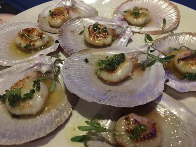 Birds-Basement-Scallops