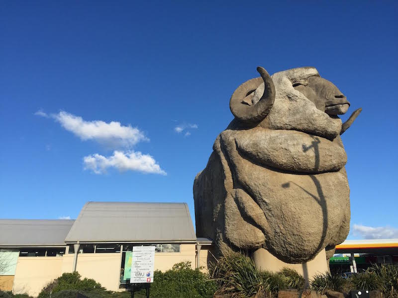 goulburn-giant-ram