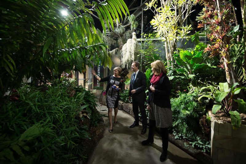 the-calyx-garden-wall