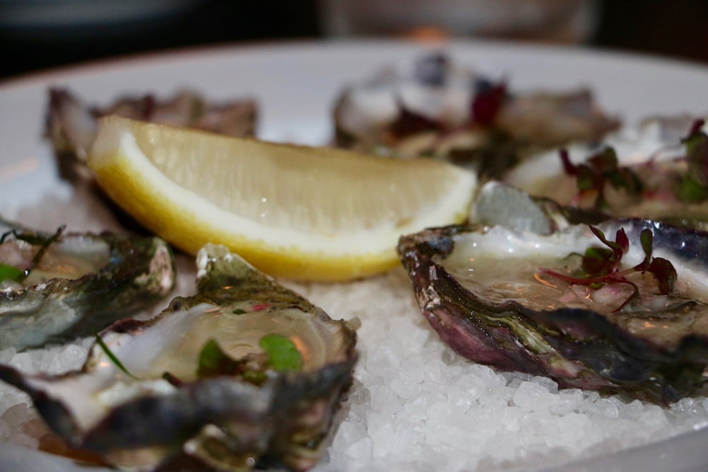 mrs sippy oysters