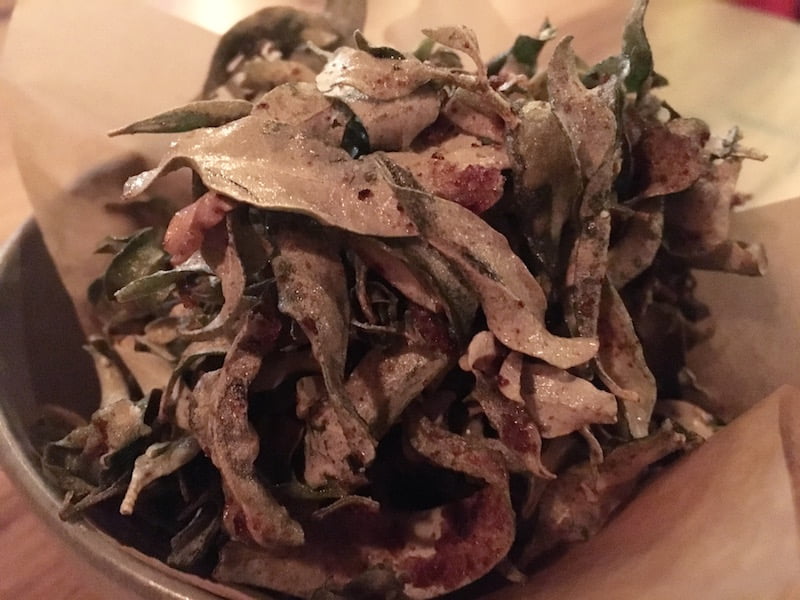 Mr and Mrs P Saltbush Leaves