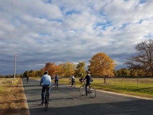 rutherglen-cycling