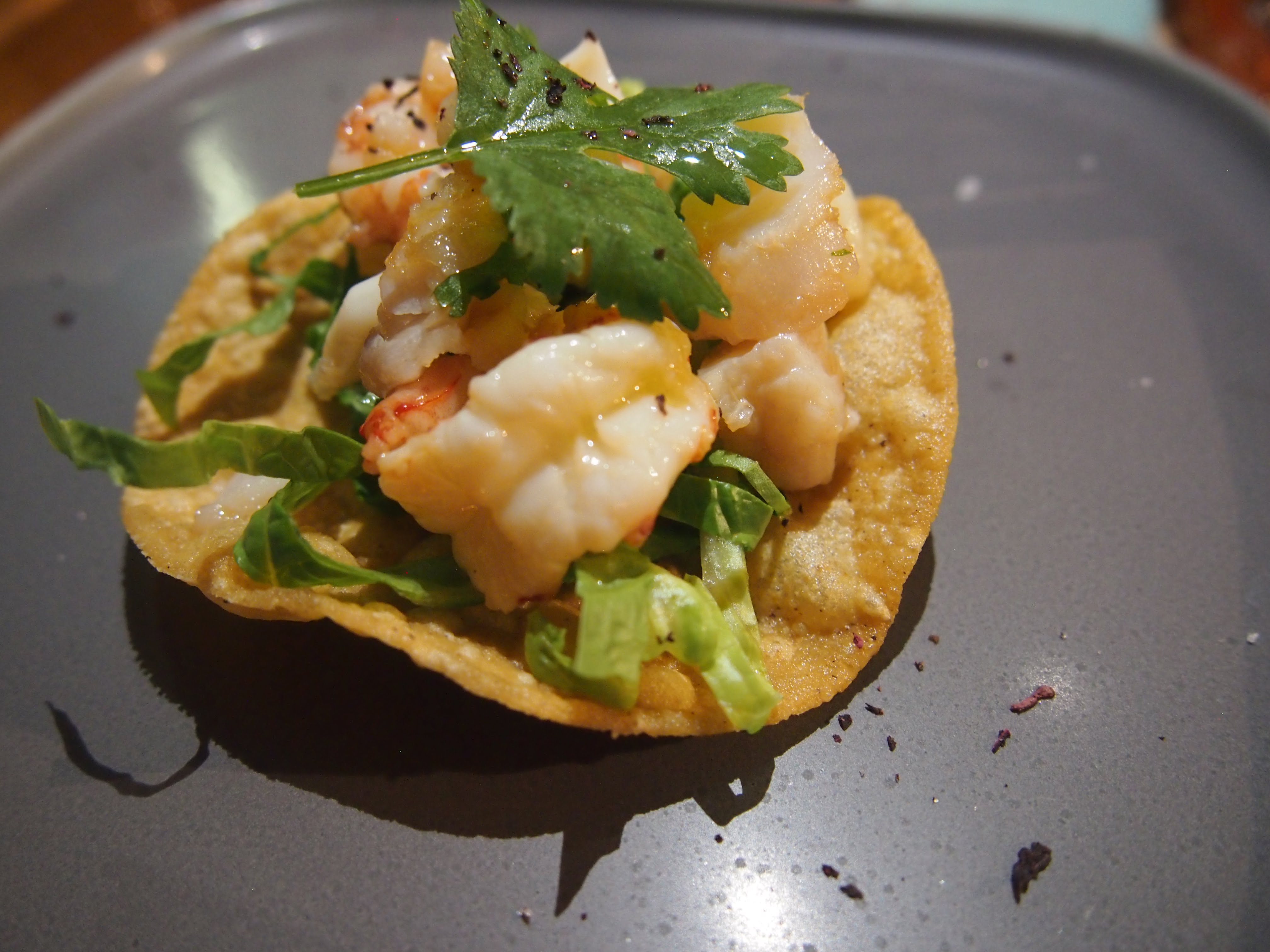 tacocat-ceviche-tostada
