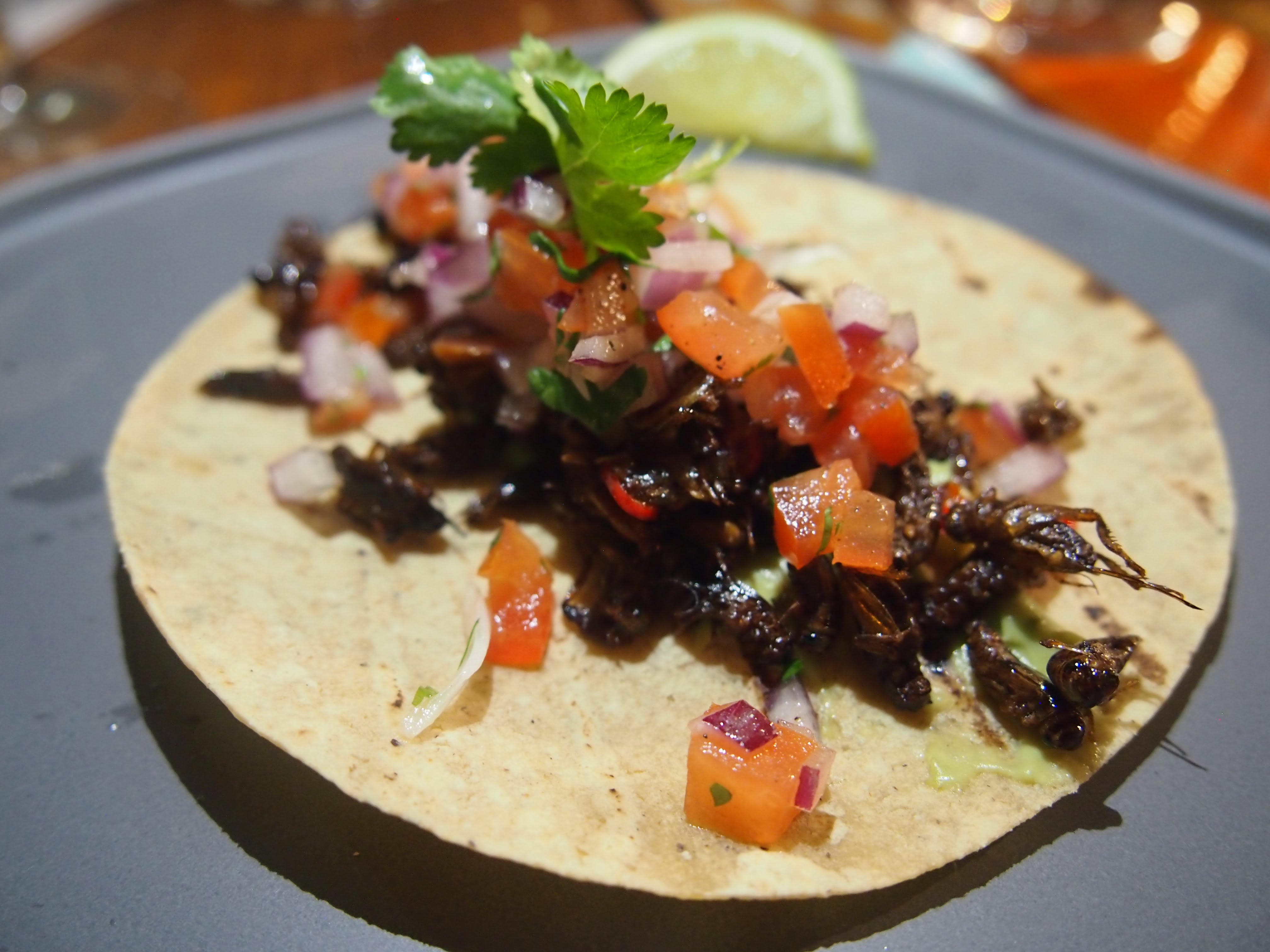 tacocat-grasshopper-taco