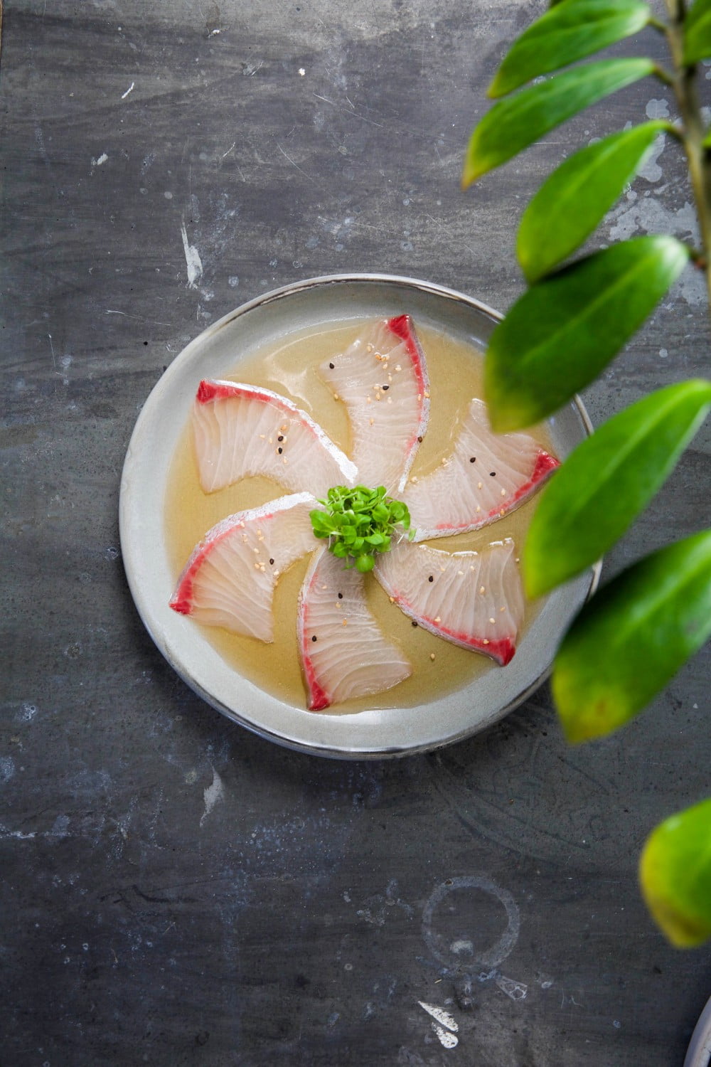 Raw Bar sashimi