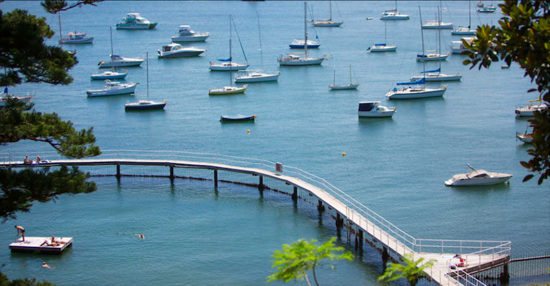 Murray Rose Pool