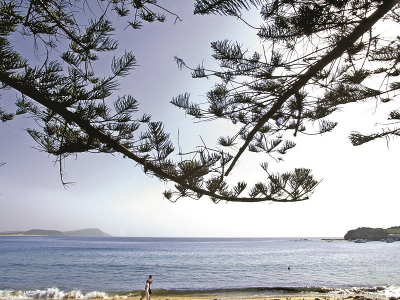 central coast terrigal