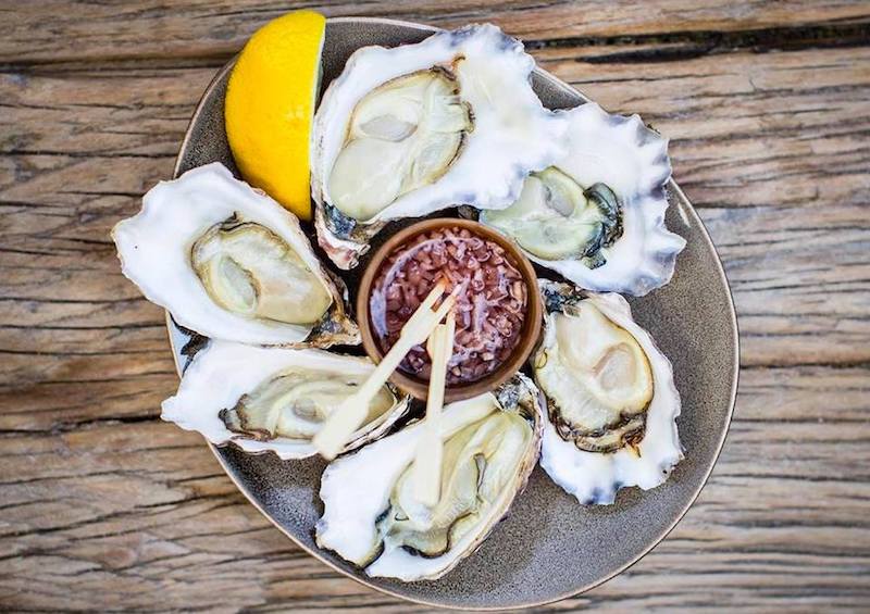 black-bottle-darlinghurst-oysters