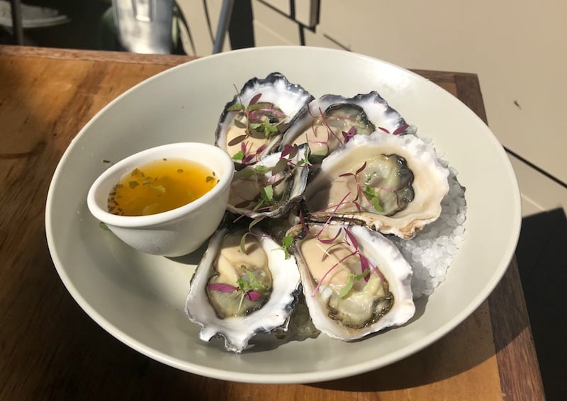 modus oysters