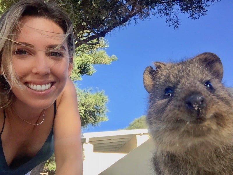 rottness-island-quokka