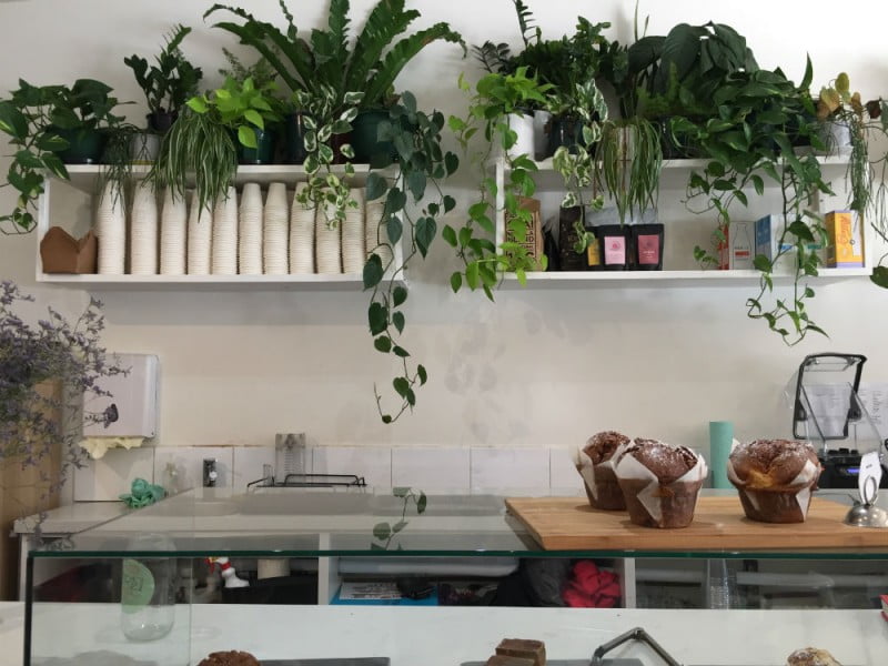 Trei Cafe counter