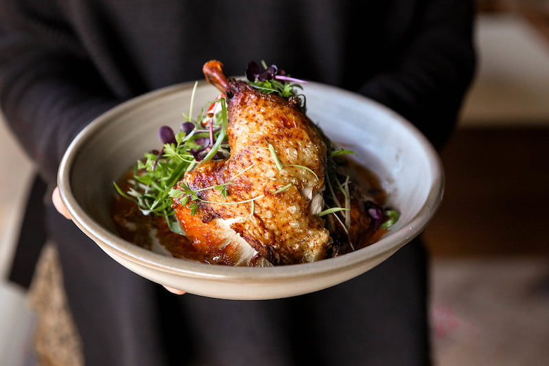 chubby-cheeks-paddington-chicken