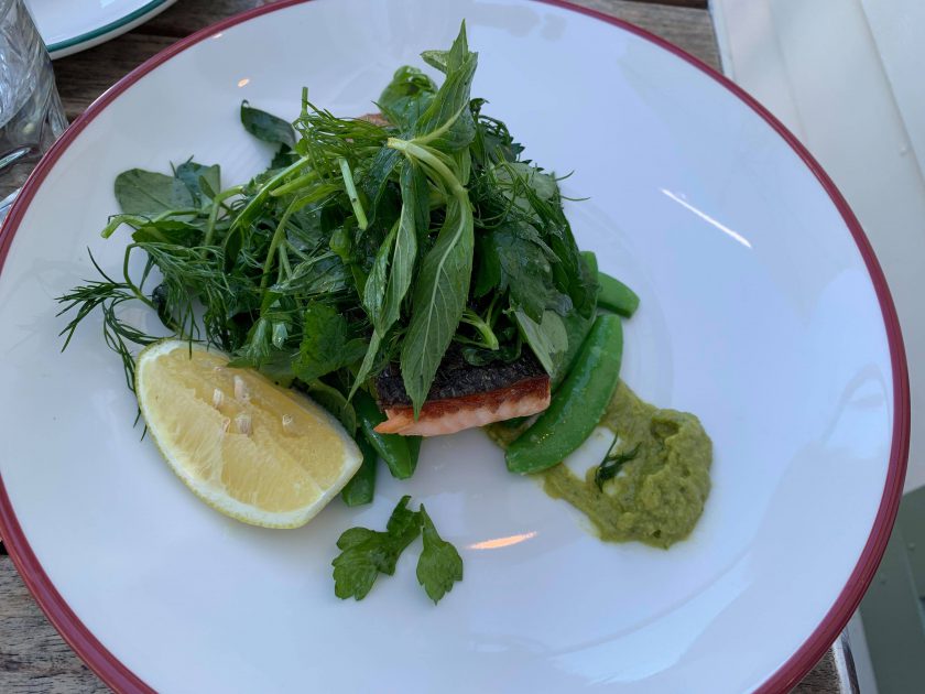 Mosman-Rowers-Salmon