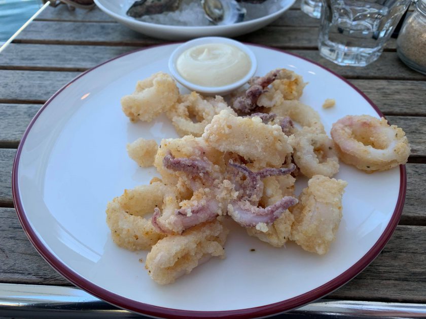 Mosman-Rowers-Squid