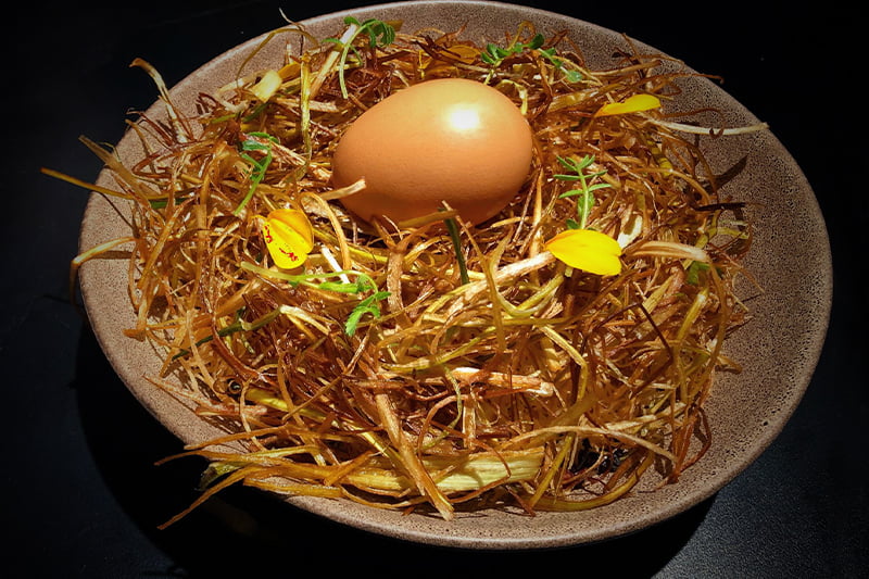 Birds Nest at Cafe Lafayette