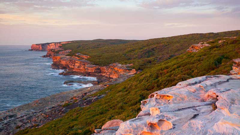 Best Coastal Walks Sydney Coastal Track