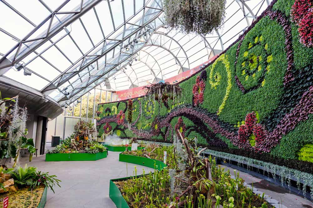 Explore A Free Exhibition Of 25,000 Of The World’s Creepiest Carnivorous Plants