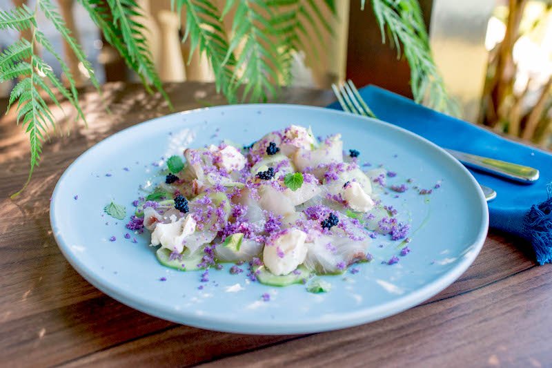 Sydney Chefs Recipes