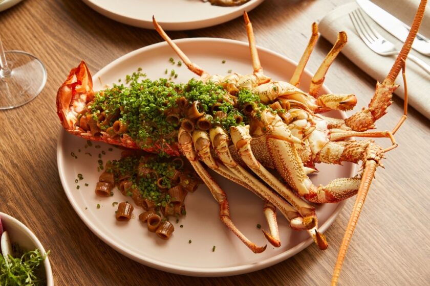 LOTI Lobster