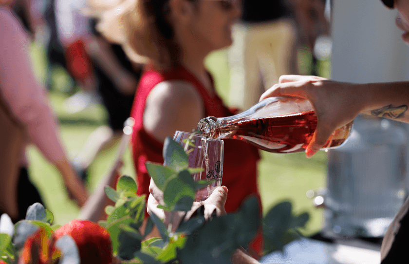 Pyrmont Festival Wine