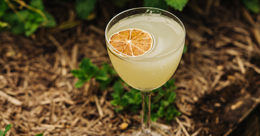 Margarita at Chiswick Margarita Garden Party