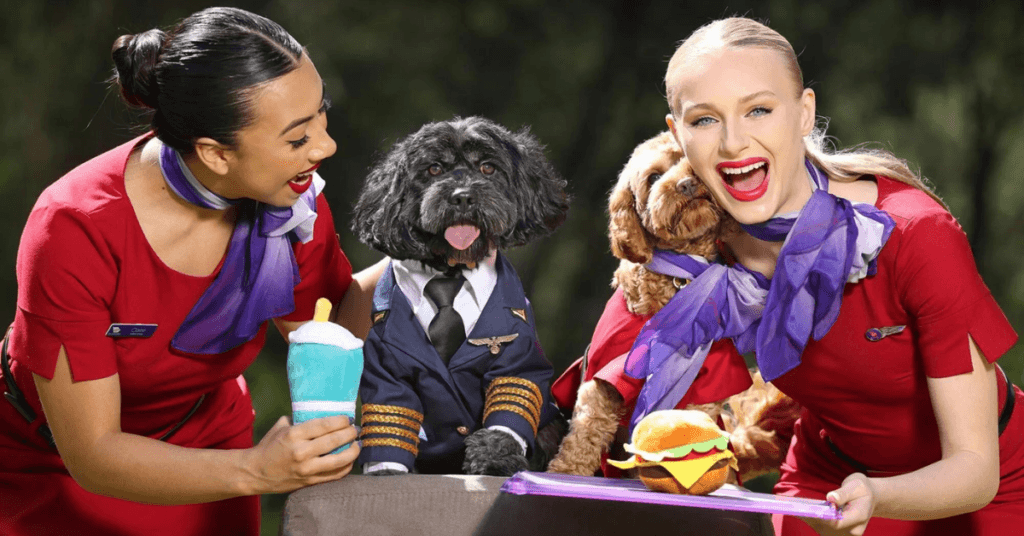 Woof Woof! Virgin Australia Explores Bringing Pets Onboard Flights