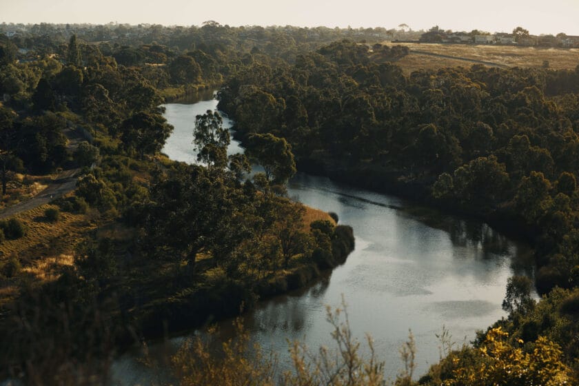 The Rivers Sing returns to RISING in 2024